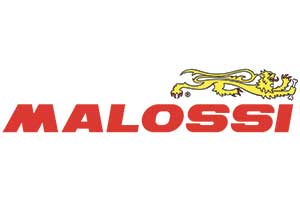 Logo MALOSSI